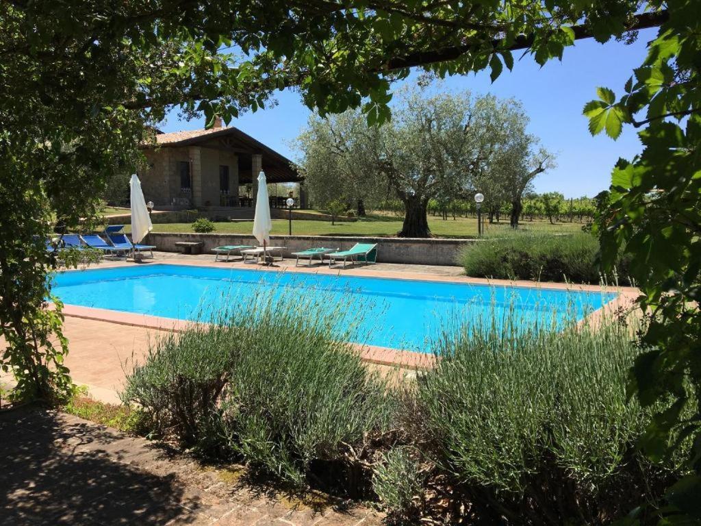 Agriturismo Eco-Bio Villa Vacasio Pitigliano Exteriör bild
