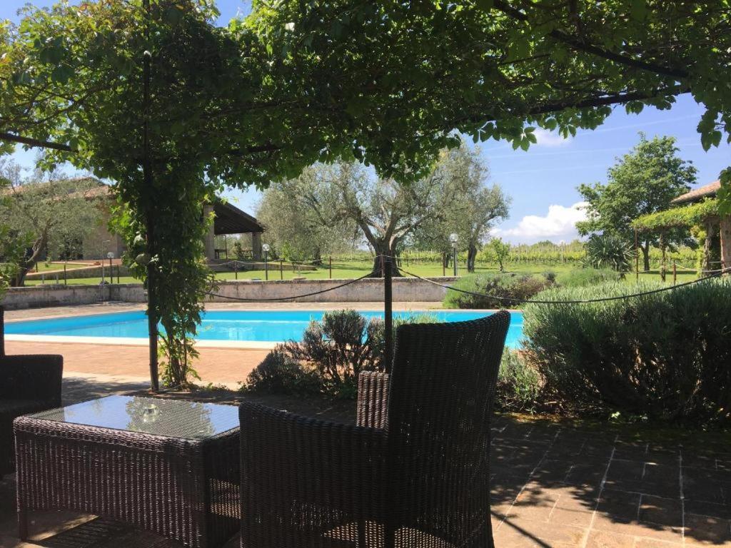 Agriturismo Eco-Bio Villa Vacasio Pitigliano Exteriör bild
