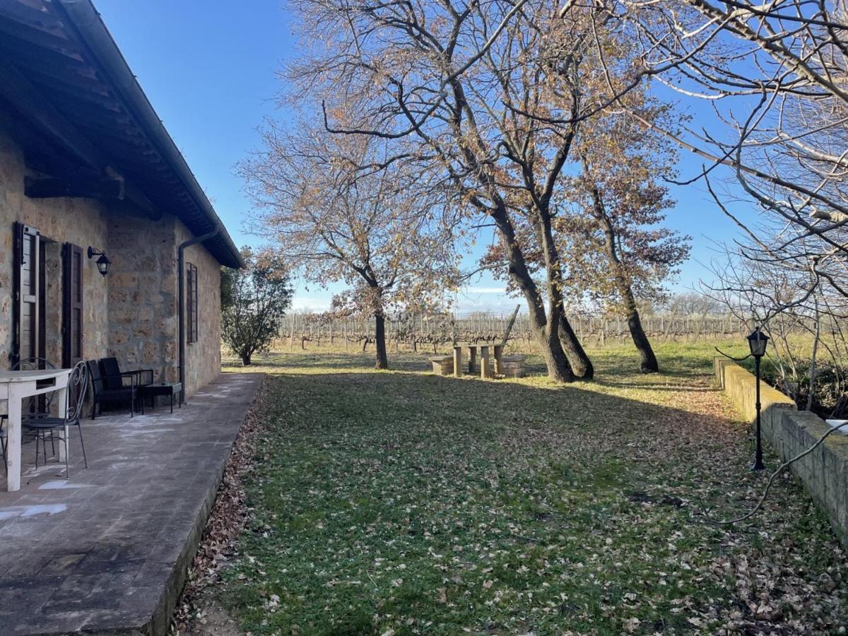 Agriturismo Eco-Bio Villa Vacasio Pitigliano Exteriör bild